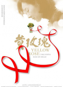 田圭读什么